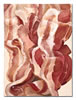 Bacon Composition 3