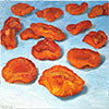 Dried California Apricots