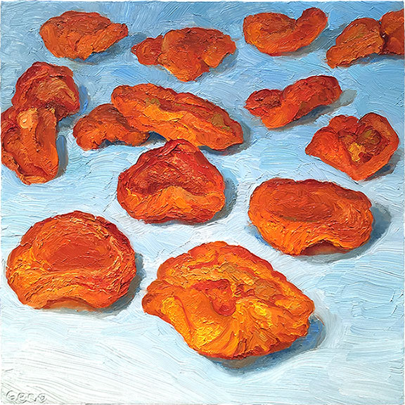 Dried California Apricots, original artwork by Mike Geno