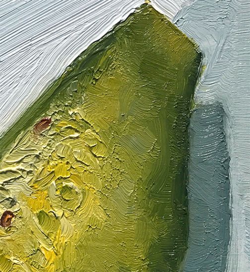 Detail View of Pickle, original artwork by Mike Geno