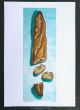 poster sized print of Sliced Baguette