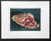 matted print of Coppa